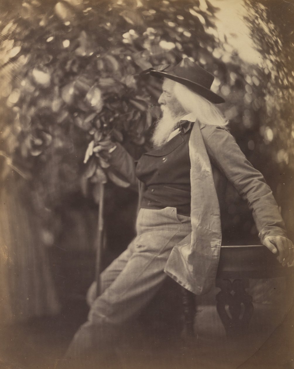 Charles Hay Cameron, Esq., ve své zahradě ve sladké vodě, 1865-67. od Julia Margaret Cameron