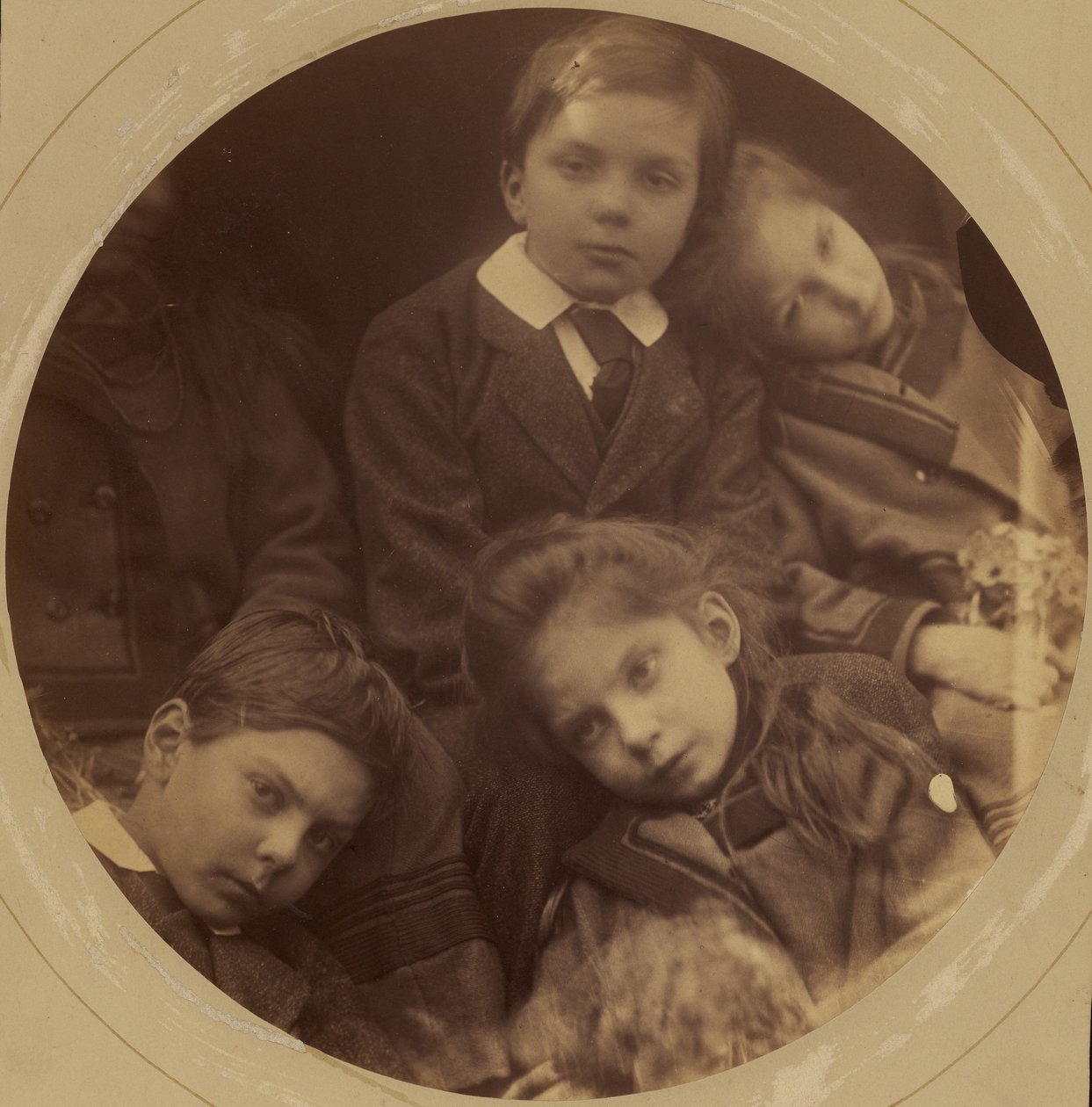 [Děti Charlese Loyda Normana a Julie Cameron Normanové: George, Archie, Charlotte a Adeline] od Julia Margaret Cameron