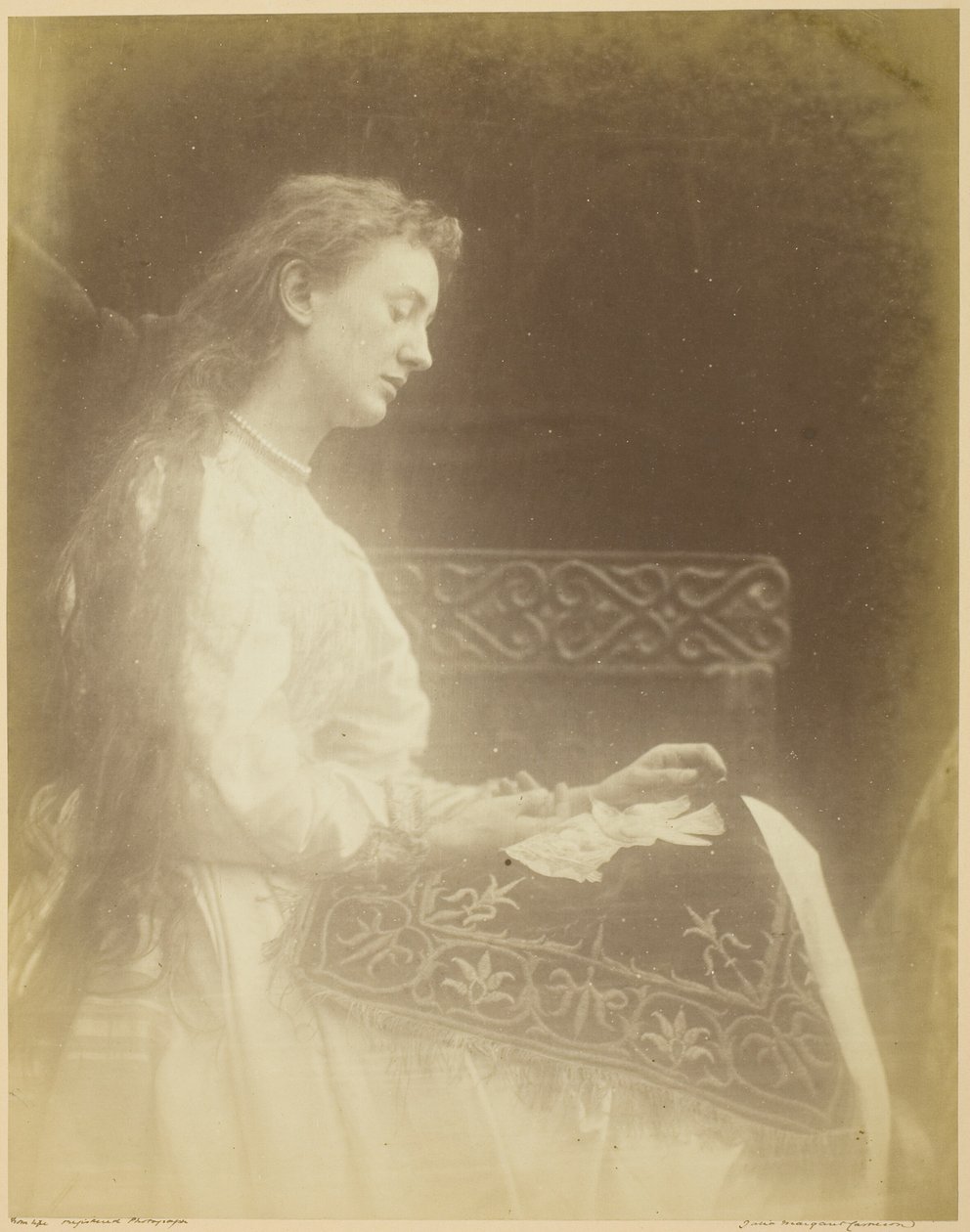 Elaine od Julia Margaret Cameron