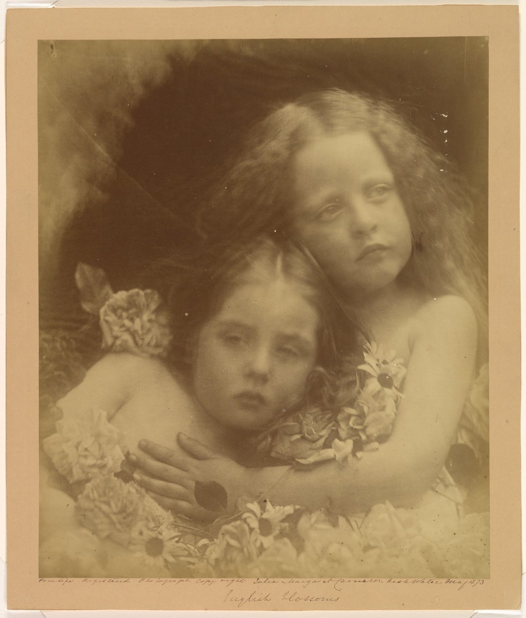 Anglické květy od Julia Margaret Cameron