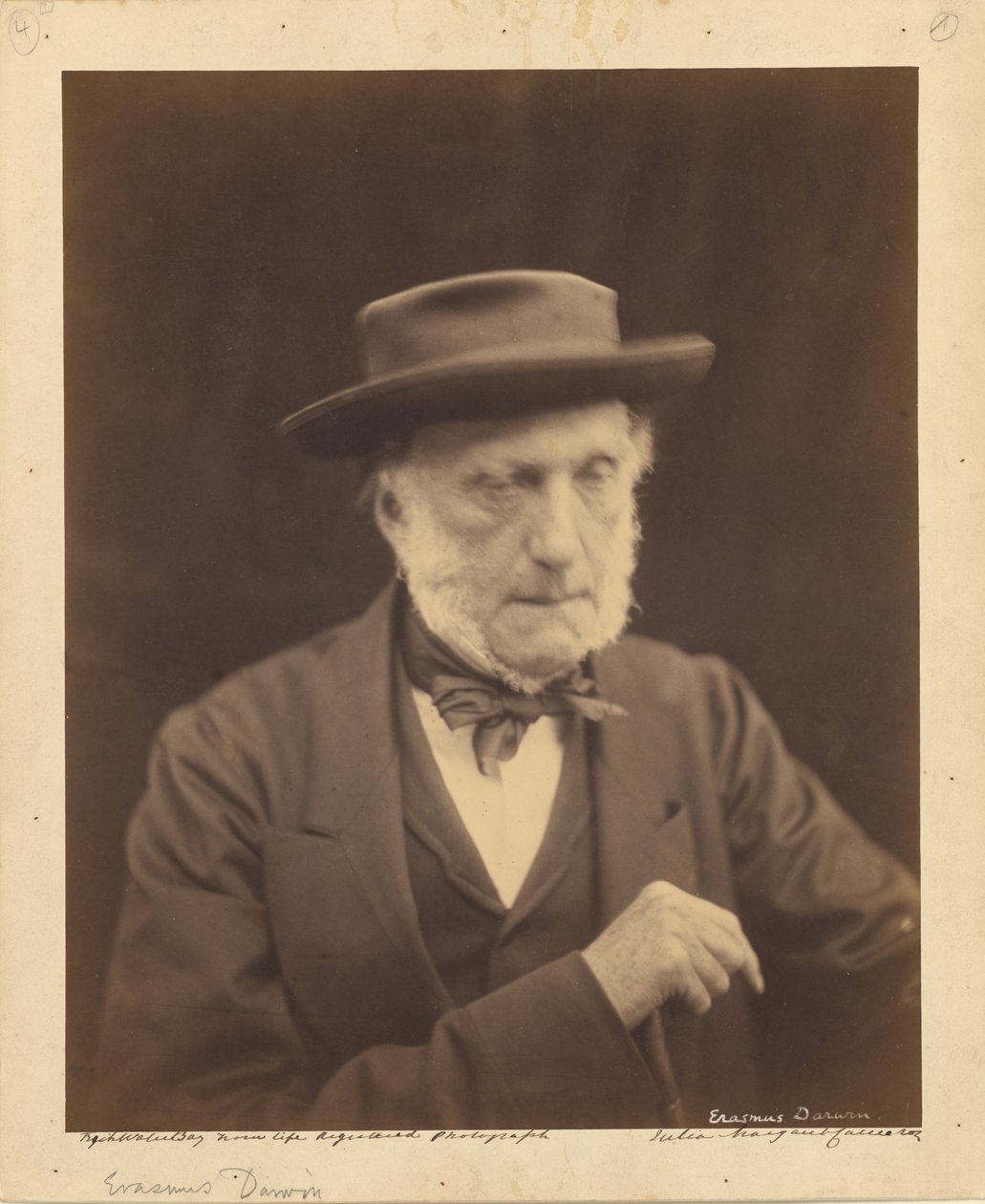 [Erasmus Darwin] od Julia Margaret Cameron
