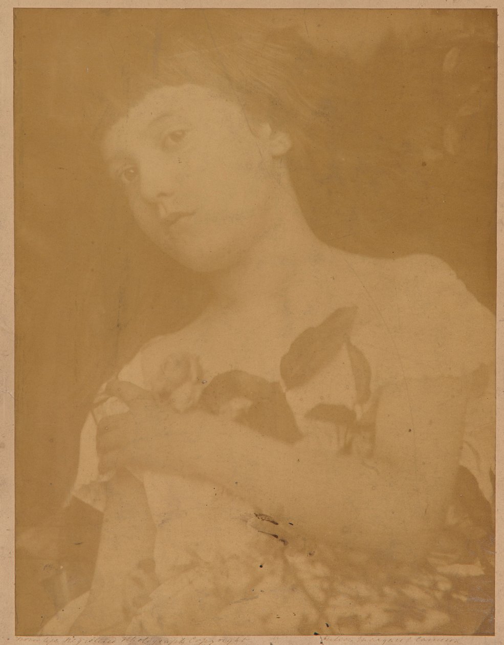Florencie od Julia Margaret Cameron