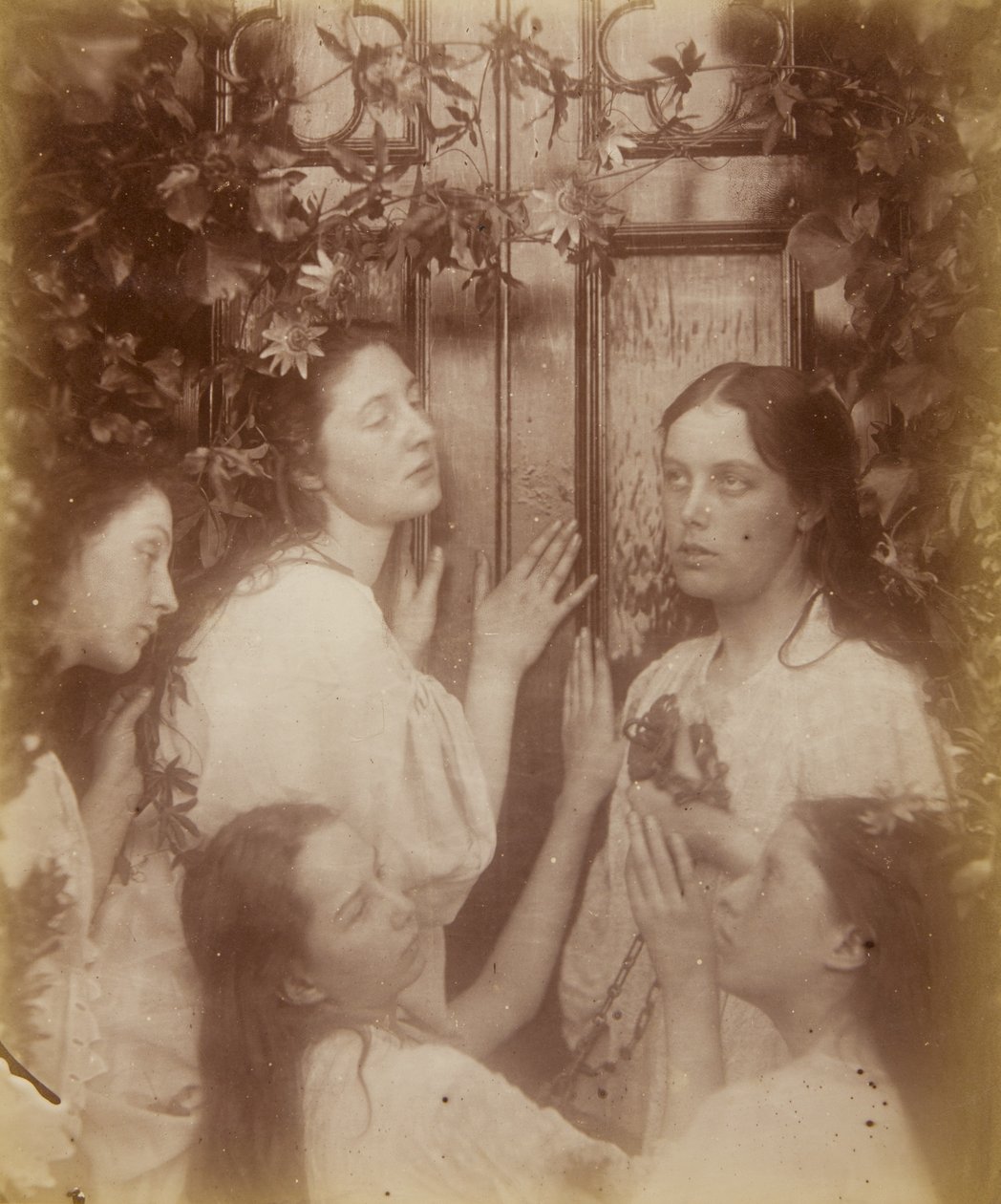 Neslyšeli jsme, že ženich je tak sladký, srpen 1874 od Julia Margaret Cameron