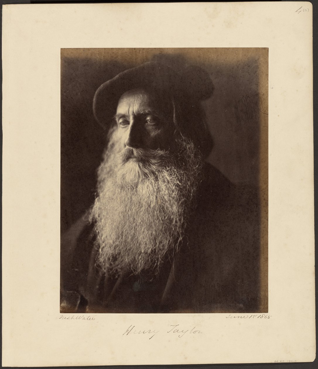 Henry Taylor od Julia Margaret Cameron