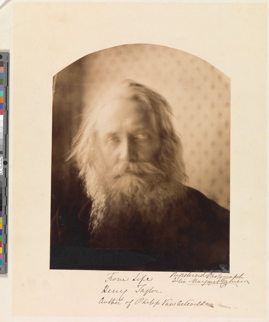 Henry Taylor. Autor knihy „Philip Van Artevelde“ od Julia Margaret Cameron