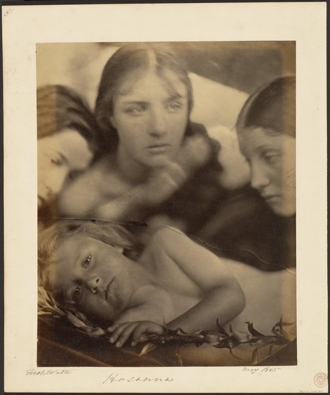 Hosana od Julia Margaret Cameron