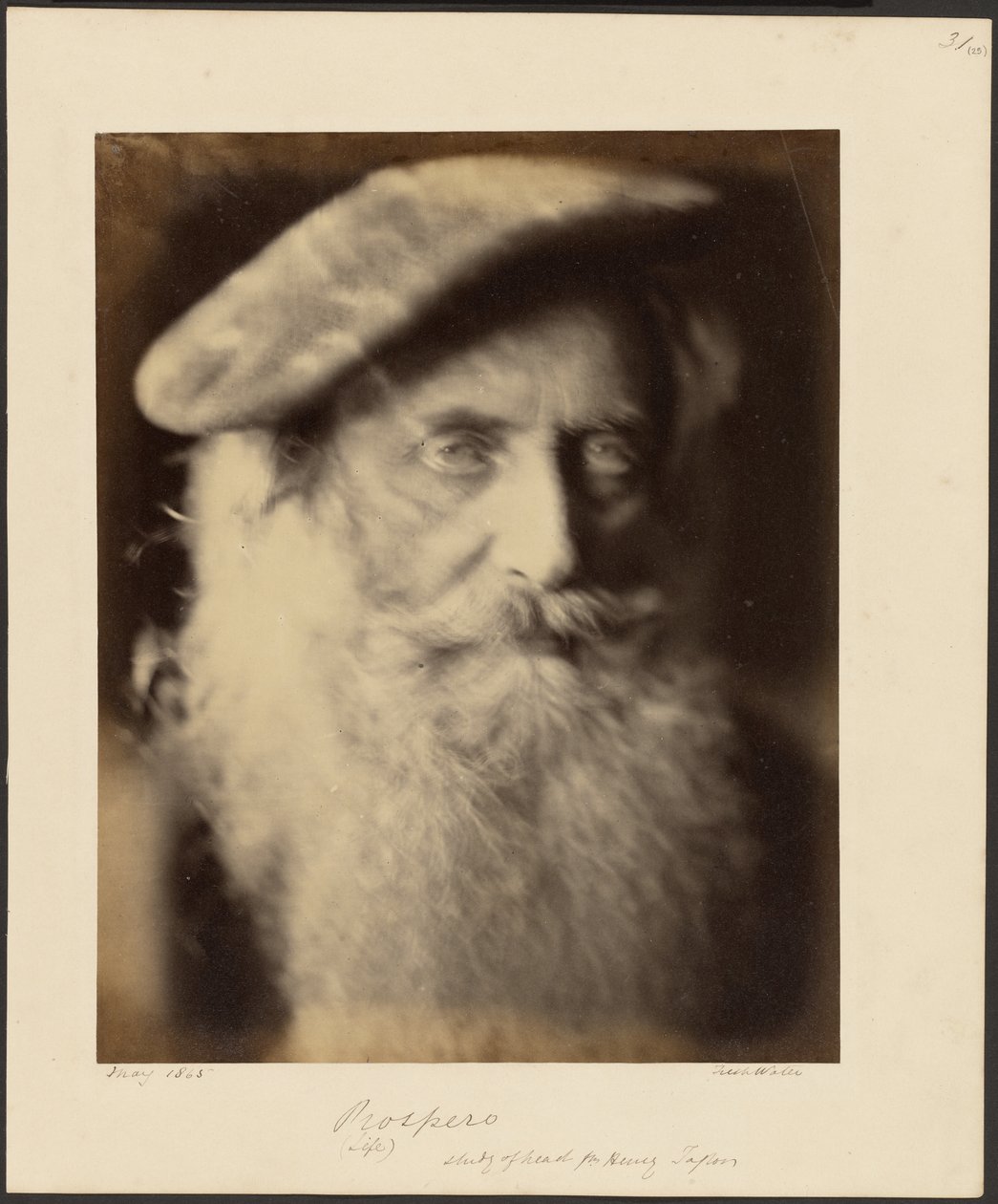 Prosperita od Julia Margaret Cameron