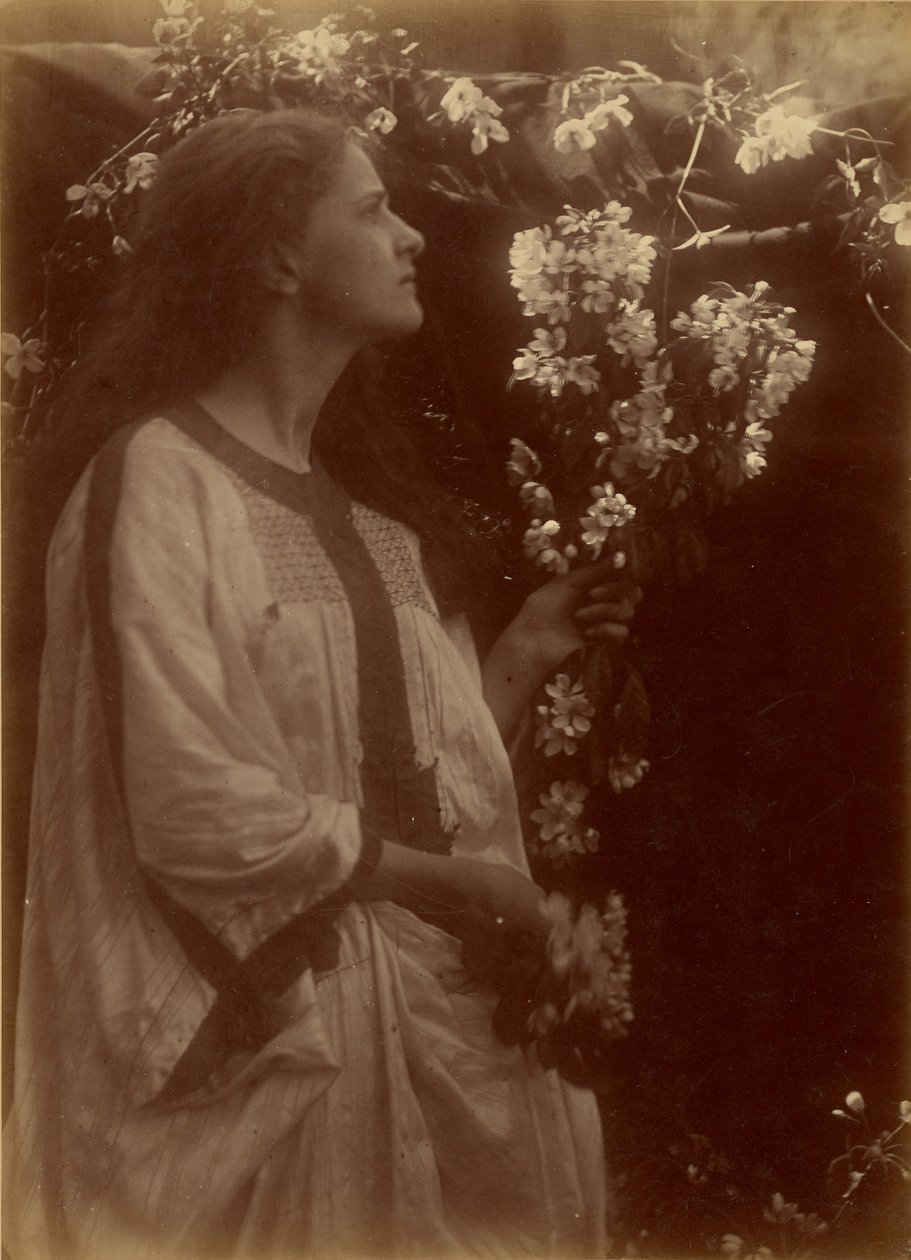 [Jaro] od Julia Margaret Cameron
