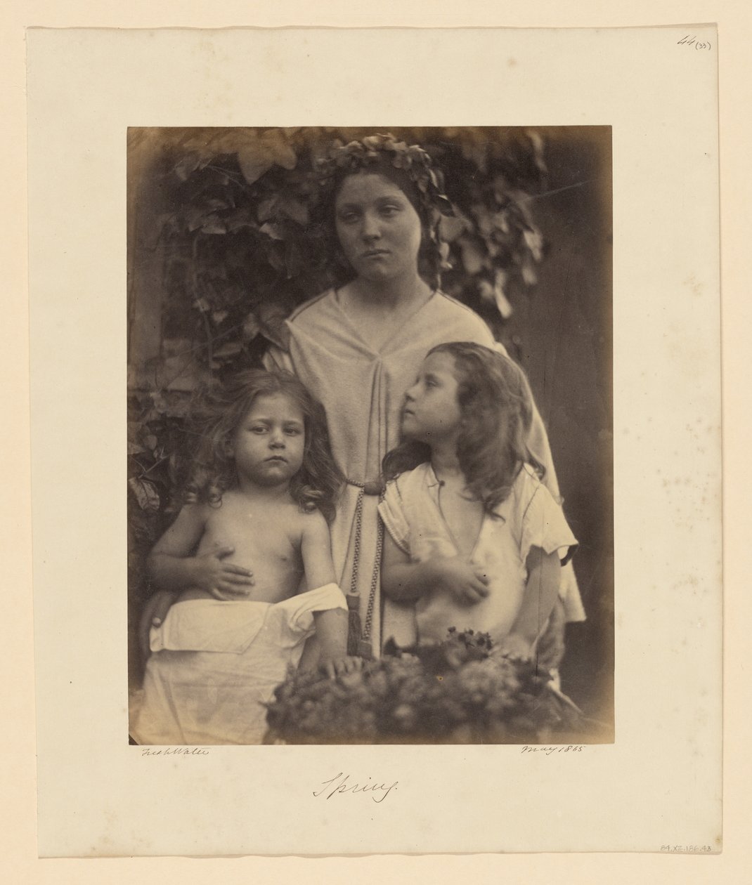 Jaro od Julia Margaret Cameron
