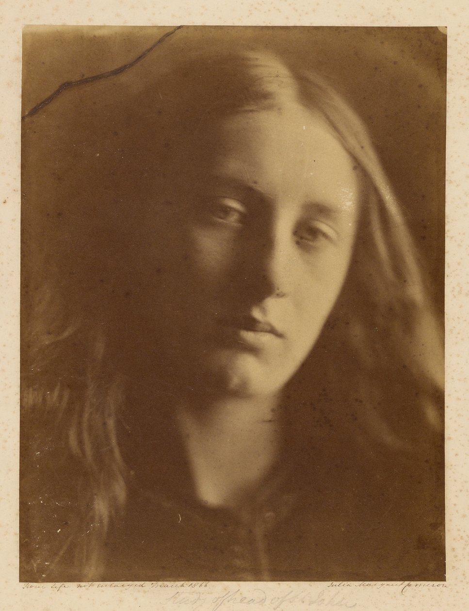 [Studie Hlava svatého Jana] od Julia Margaret Cameron