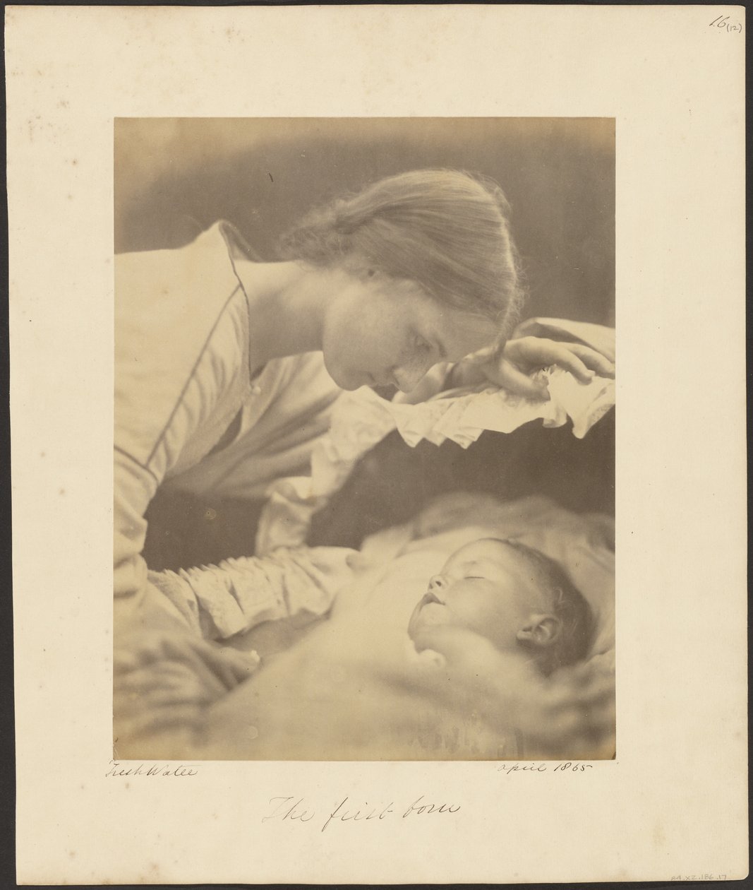 Prvorozený od Julia Margaret Cameron