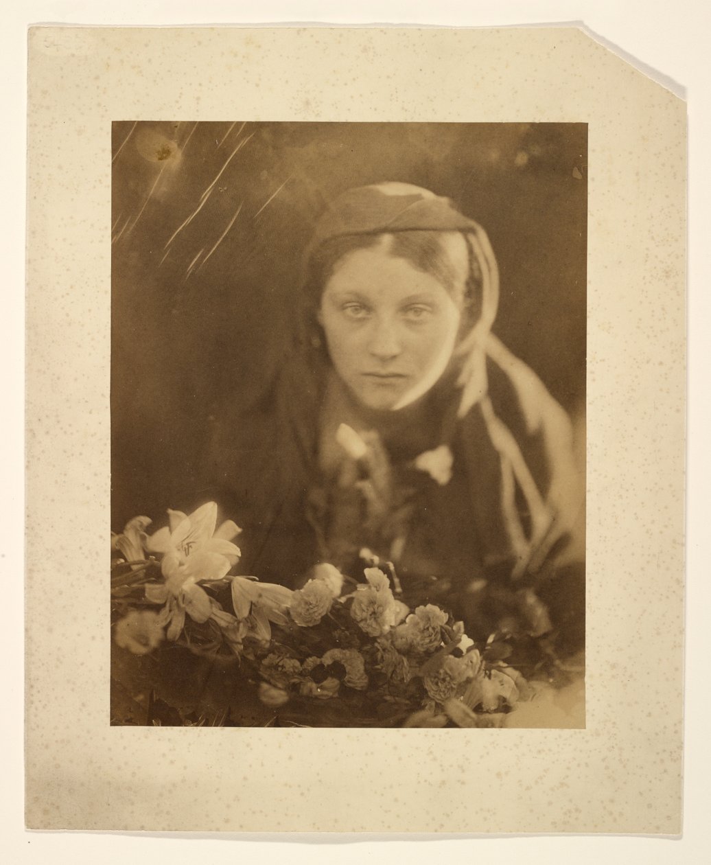 Květinářka od Julia Margaret Cameron
