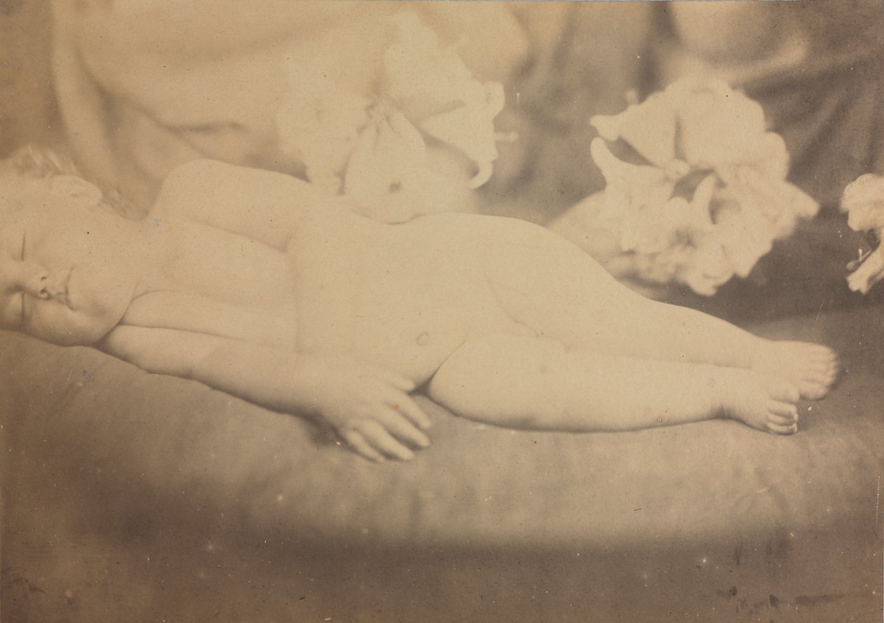 Lilie a Beránek od Julia Margaret Cameron