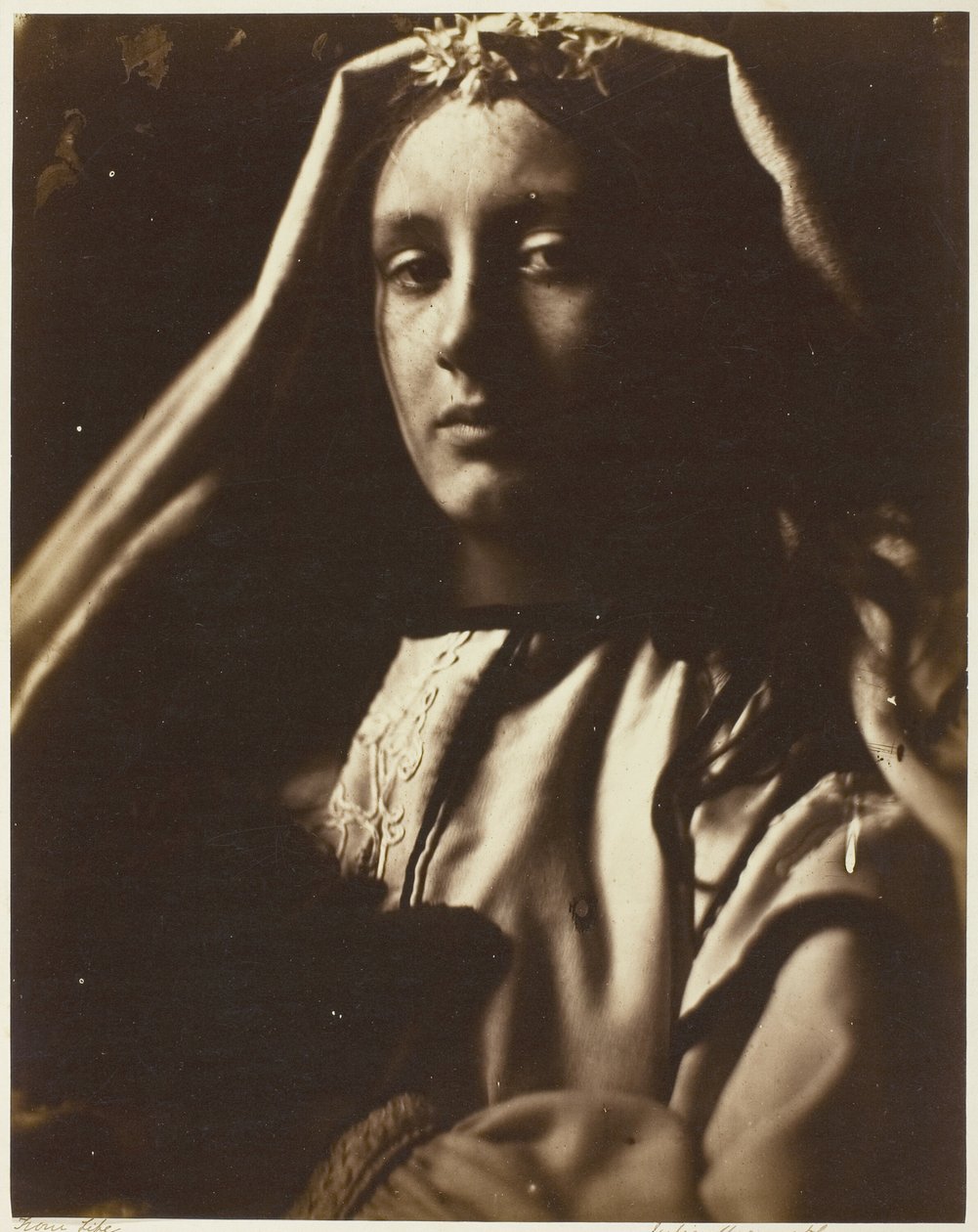 Neopolitan od Julia Margaret Cameron