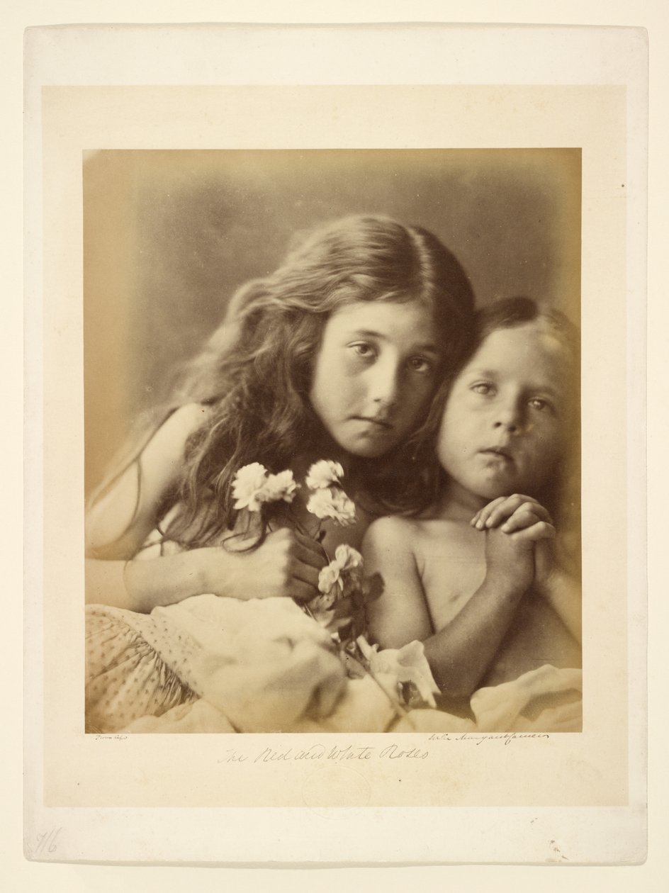 Červené a bílé růže od Julia Margaret Cameron