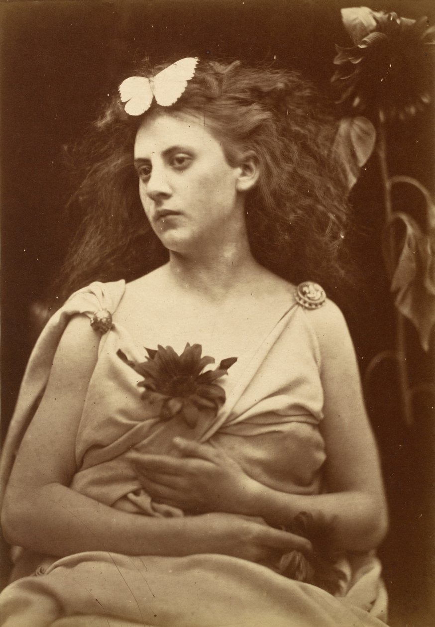 Slunečnice od Julia Margaret Cameron