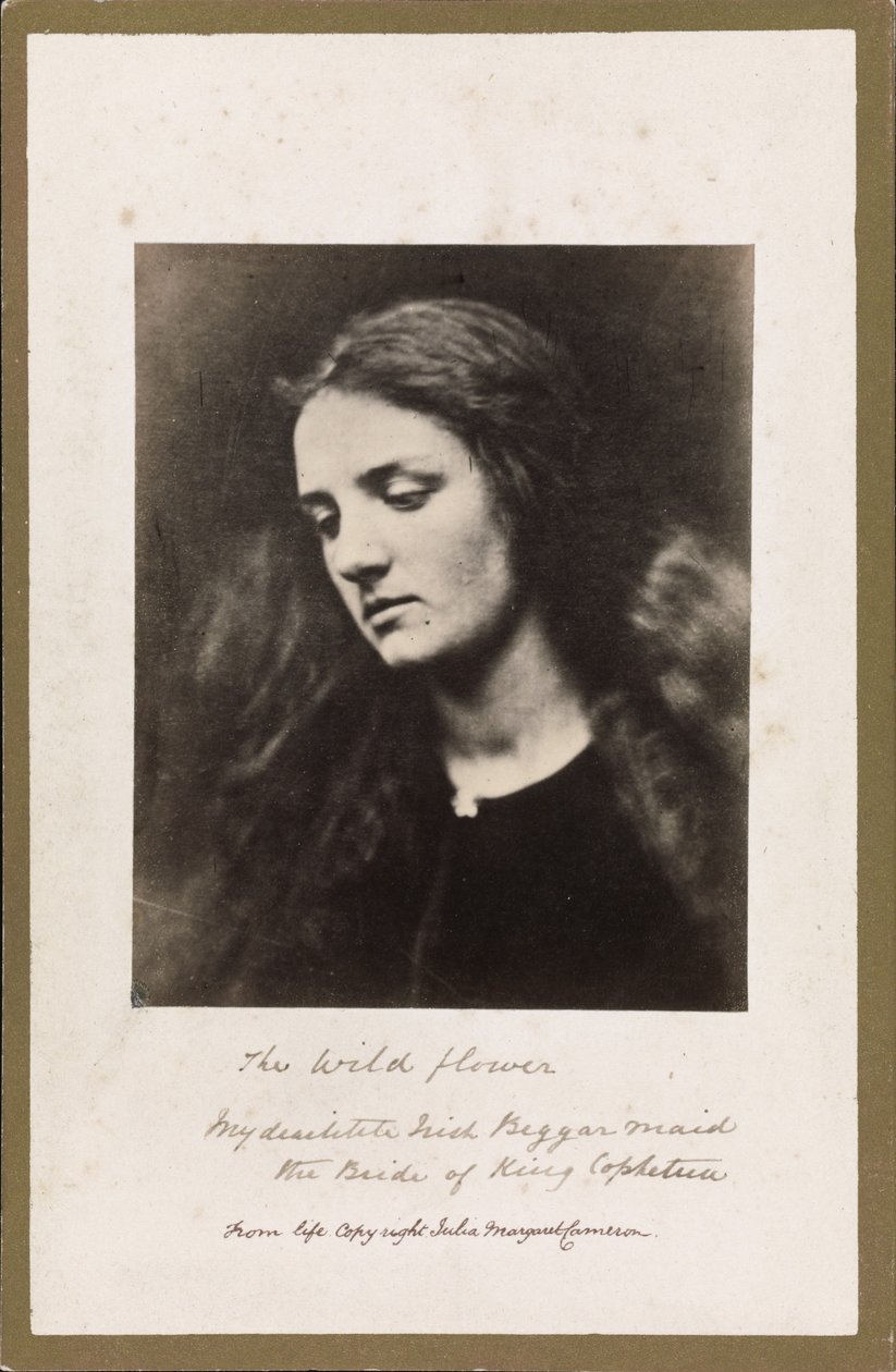 Divoká květina od Julia Margaret Cameron
