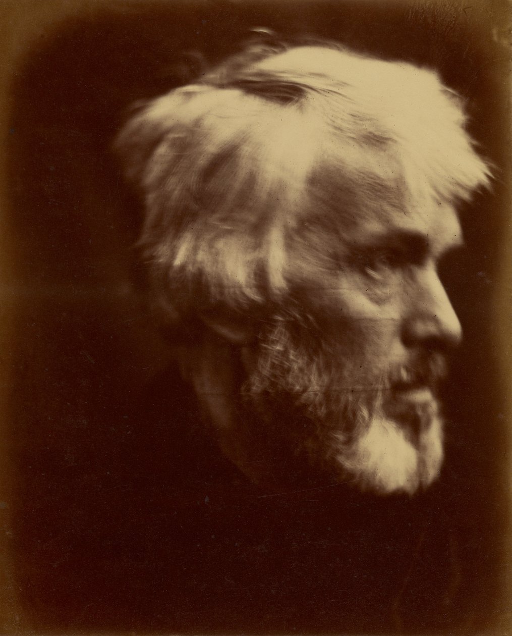 [Thomas Carlyle] od Julia Margaret Cameron