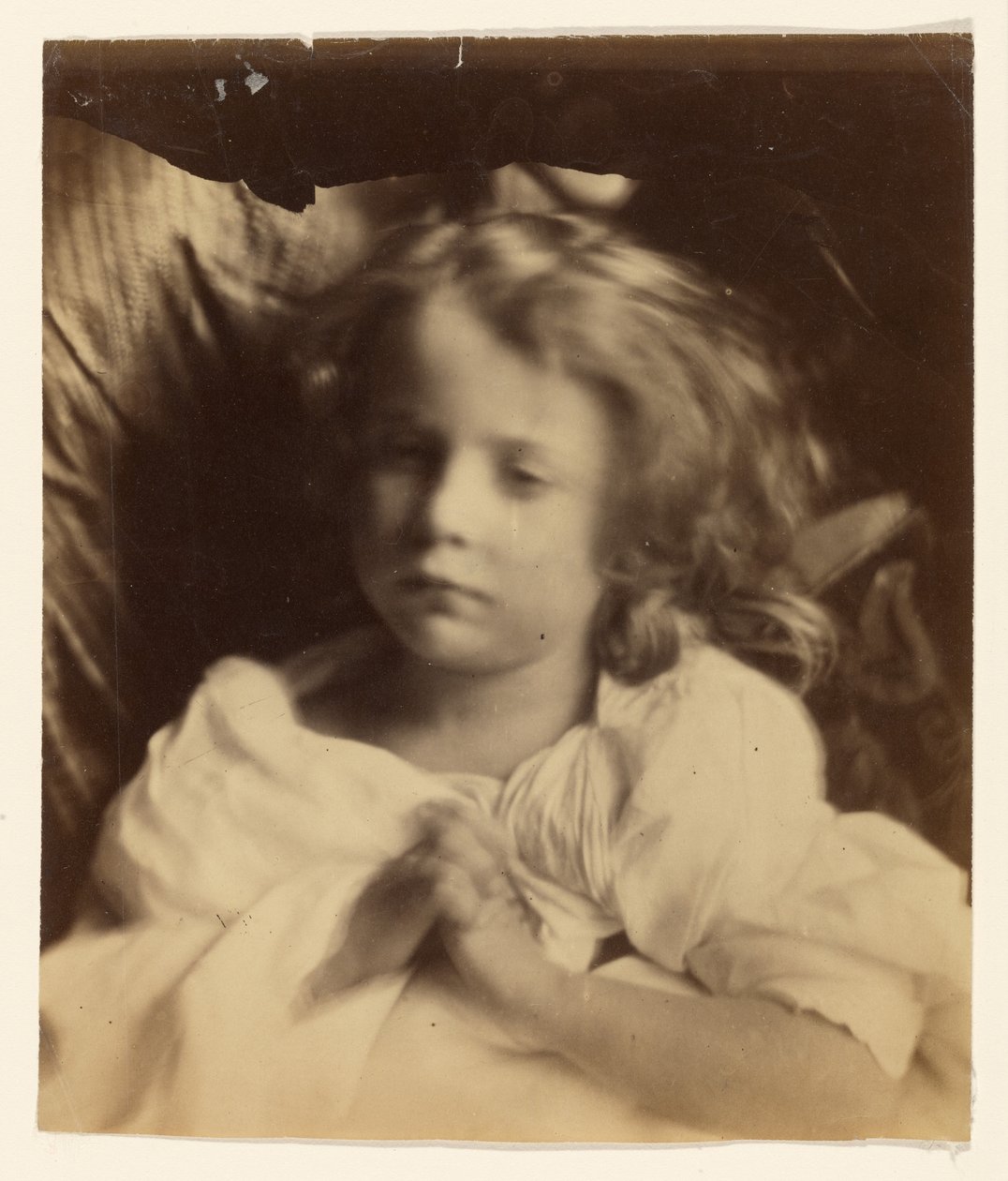 [Willin] od Julia Margaret Cameron