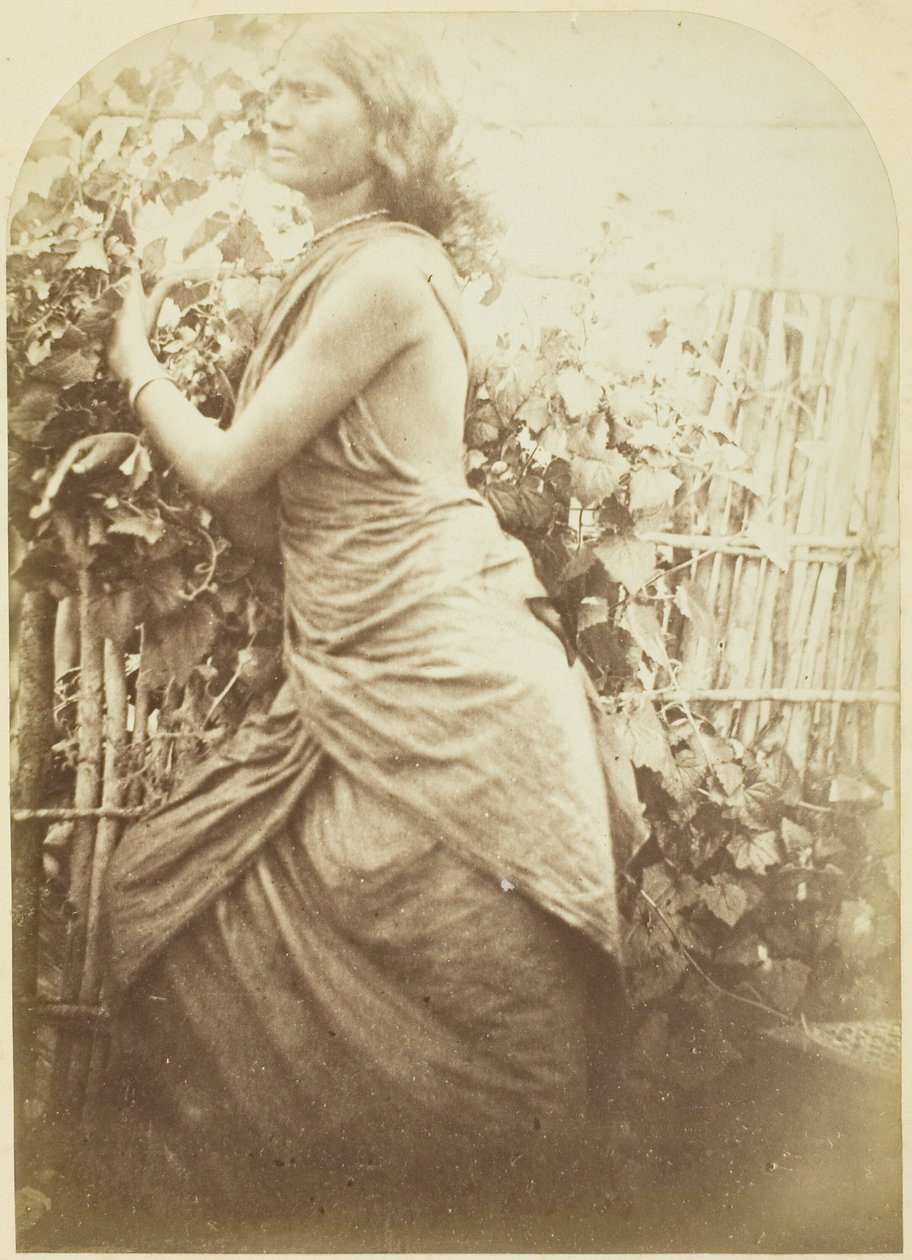 Žena, Cejlon od Julia Margaret Cameron
