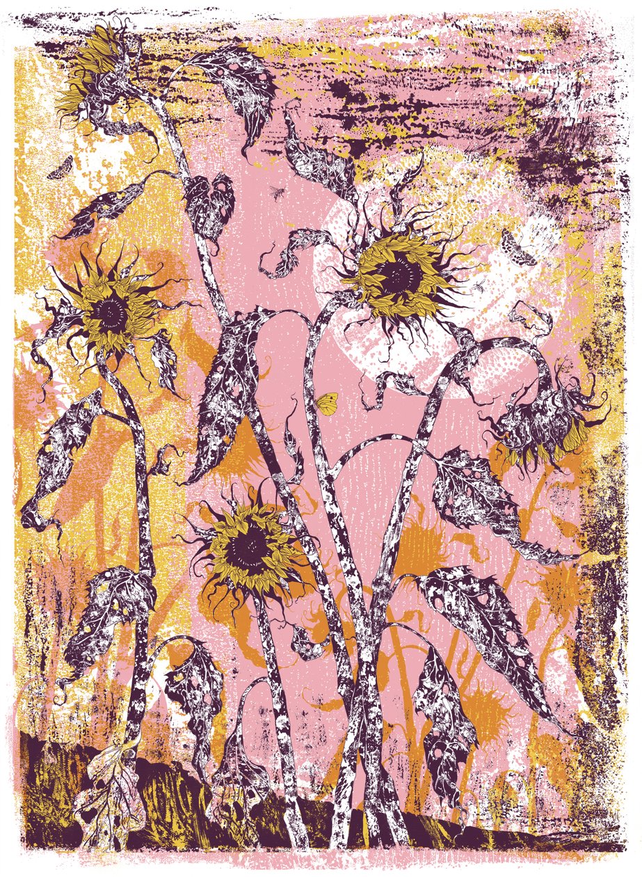 son sine sole iris, 2016 (sítotisk) od julia McKenzie