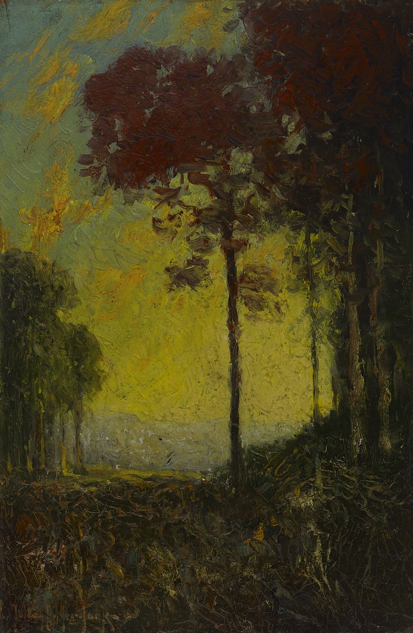 Podzimní západ slunce, 1908 od Julian Onderdonk