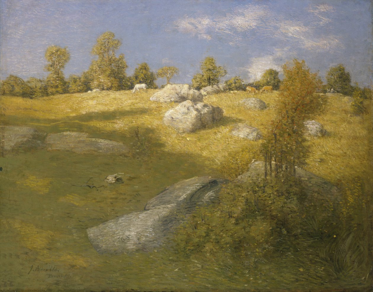 Horské pastviny, ca. 1905. od Julian Alden Weir