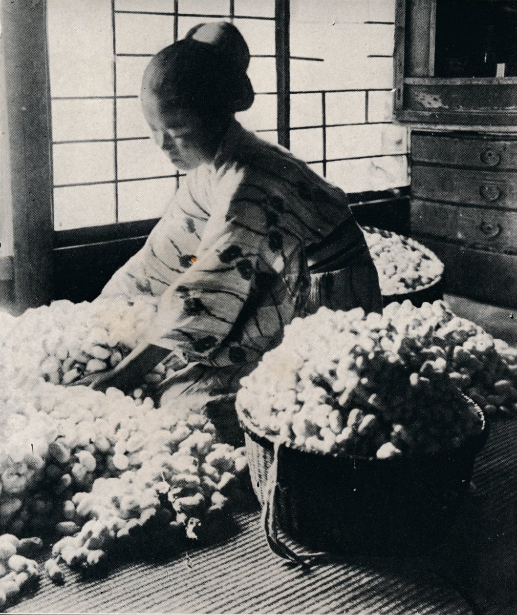 5000 bourců morušových sežere 125 liber moruše na 8 přaden hedvábí, čímž vytvoří jedno kimono, c1900, 1921 od Julian Leonard Street