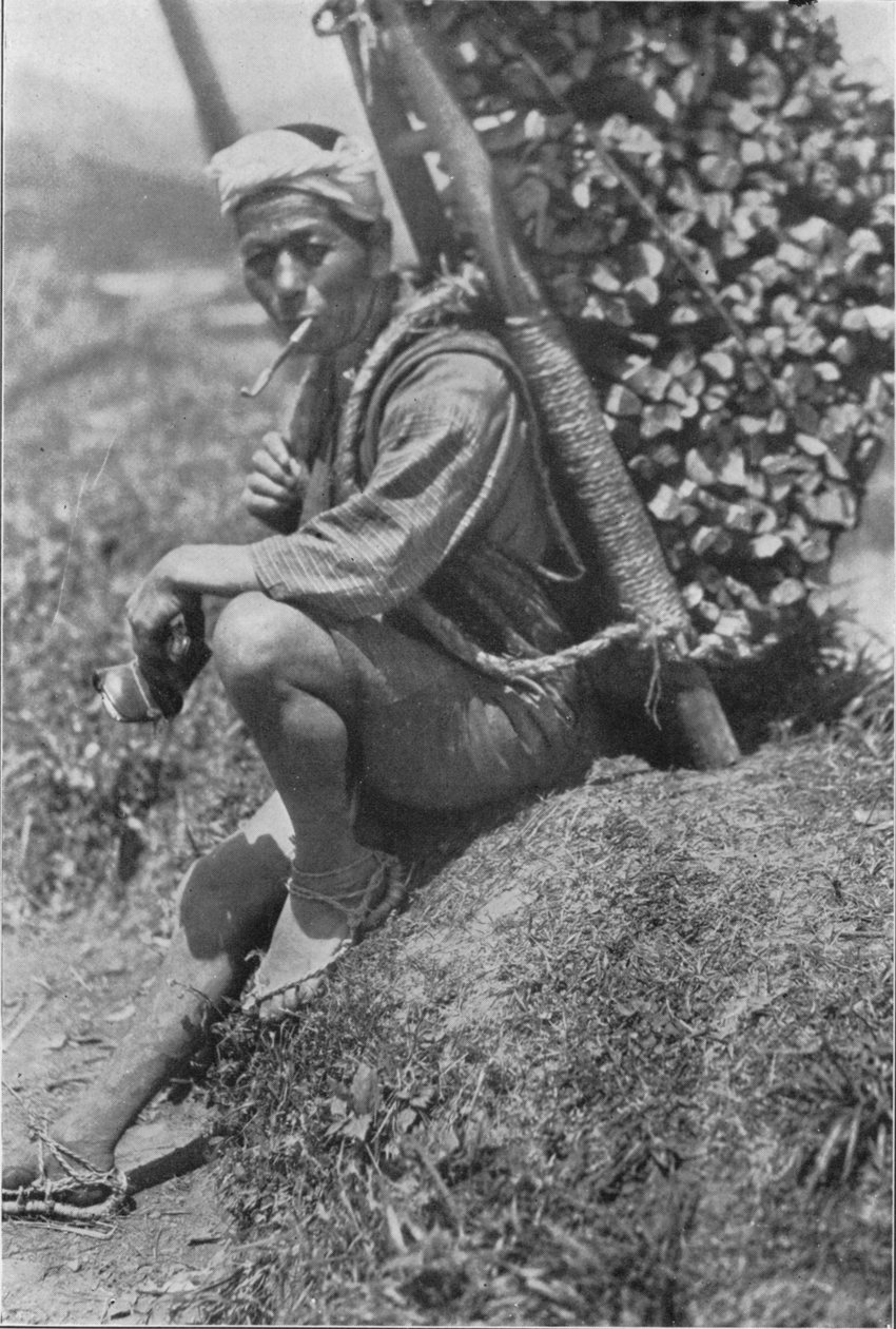 Kuliík středního věku se spěšně posadil na břeh, aby nás prošel kontrolou, c1900, 1921 od Julian Leonard Street