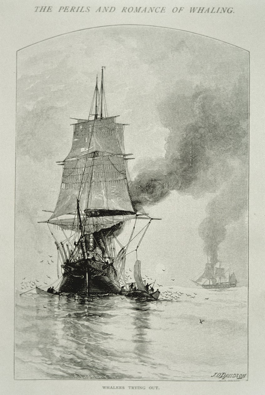 „Whalers Trying Out“ (rozřezat velrybu a vytáhnout její maso na palubu), pro „The Perils and Romance of Whaling“ v Century Magazine, srpen 1890 (rytina) od Julian Oliver Davidson