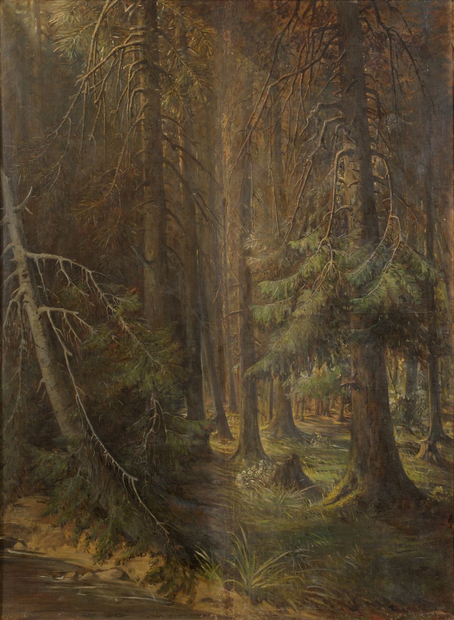 Forest od Julie Wilhelmine Hagen Schwarz