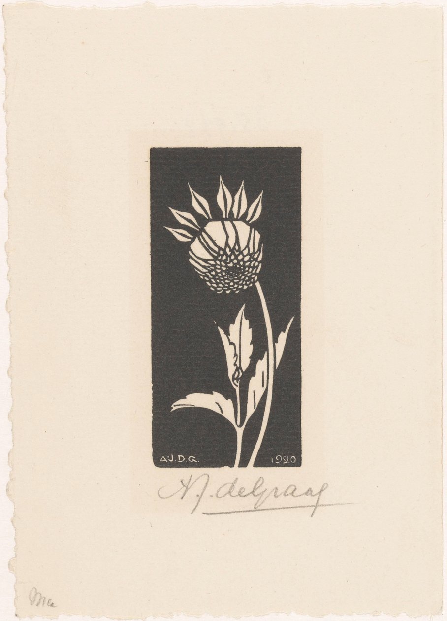 Jiřina od Julie de Graag (signed by artist)