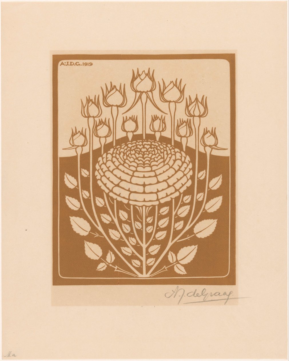 růžový keř od Julie de Graag (signed by artist)