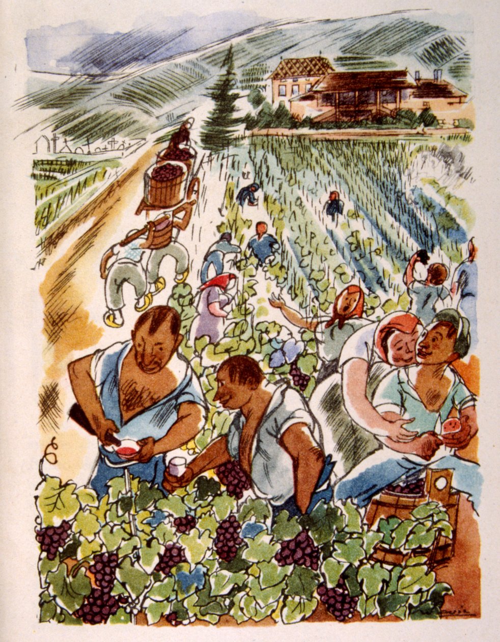 Francouzská vinice. 1944. Ilustrace Julien Pavil od Julien Pavil