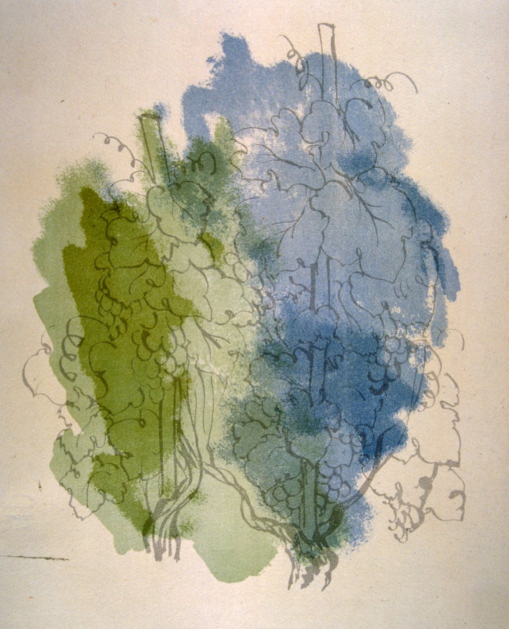 Humorné víno ilustrace 1946.Ilustration by Julien Pavil od Julien Pavil
