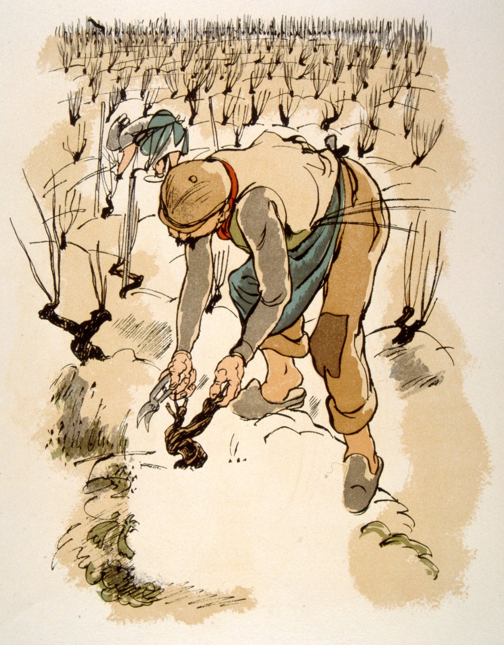 Humorné víno ilustrace 1946.Ilustration by Julien Pavil od Julien Pavil