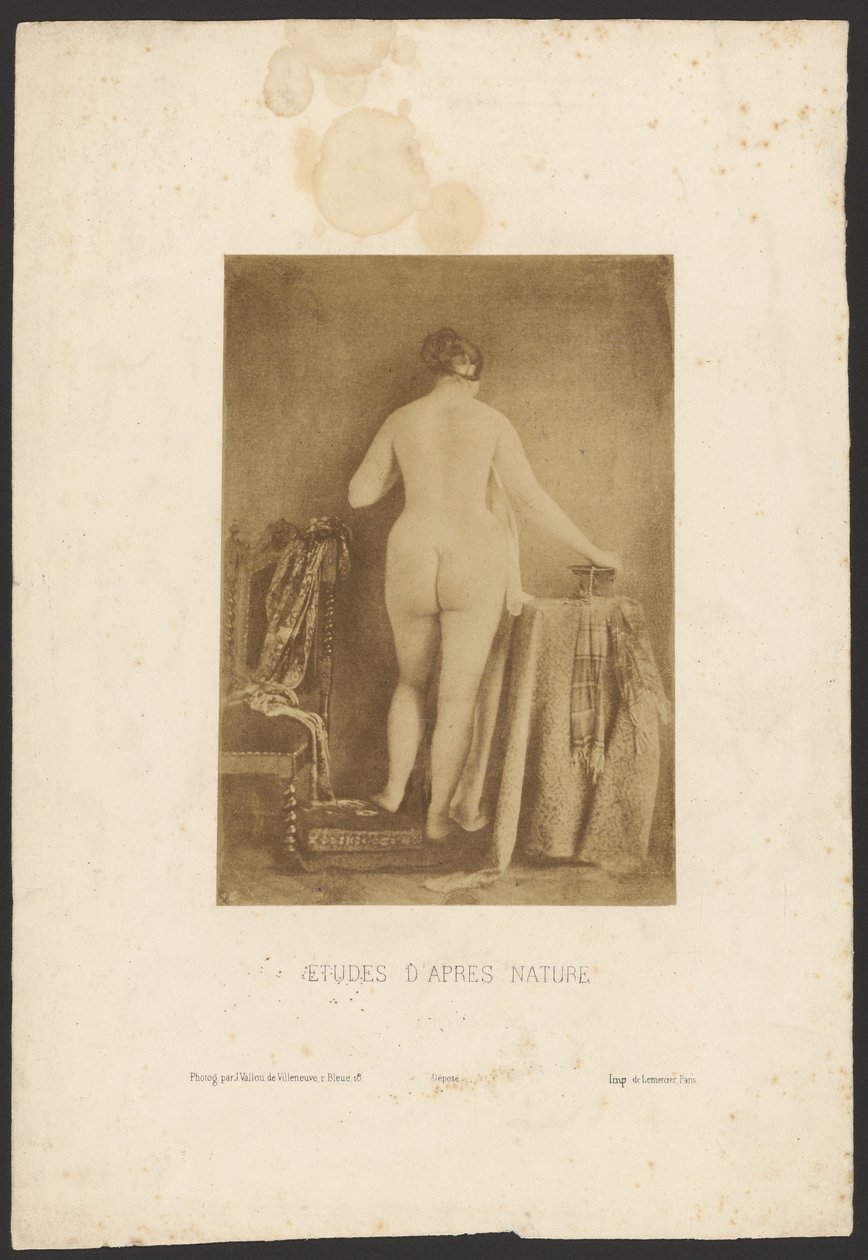 Studie z přírody od Julien Vallou de Villeneuve