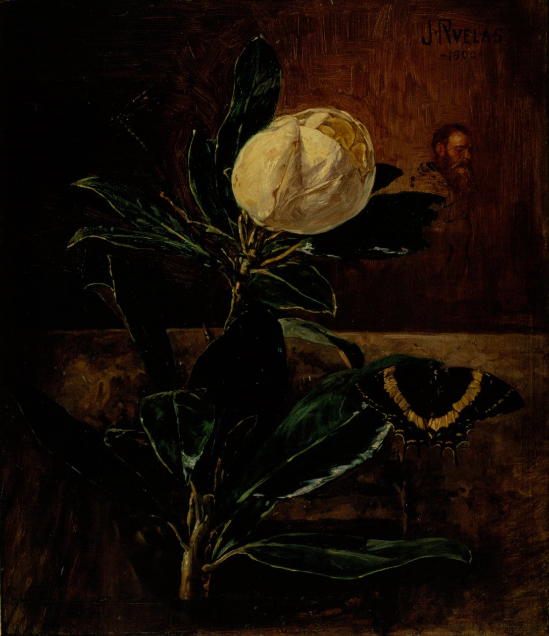 Magnolie od Julio Ruelas