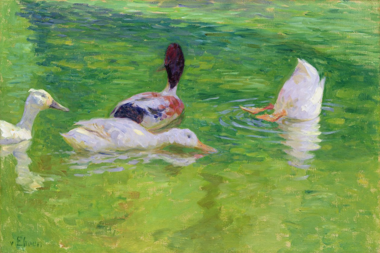 Kachny, kolem roku 1897 od Julius August Friedrich Theodor von Ehren