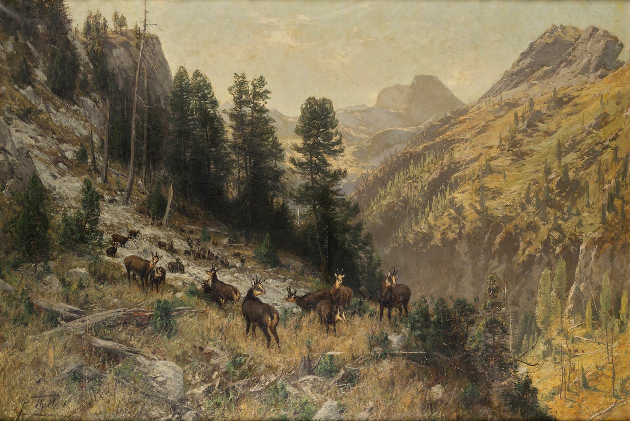 Podzim ve vysokých horách od Julius Arthur Thiele