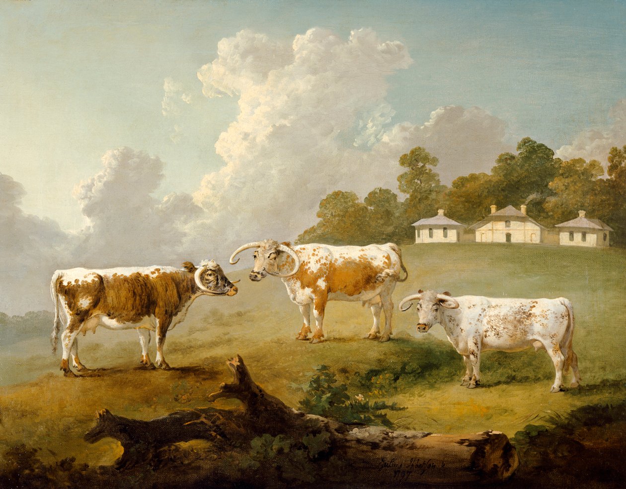 „Tři dlouhorohé dobytky v Kenwoodu“, 1797 od Julius Caesar Ibbetson