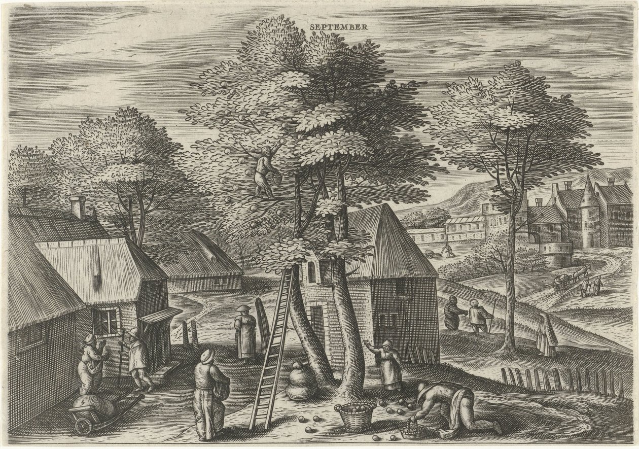 září (název na objektu) Dvanáct měsíců (název série) od Julius Goltzius