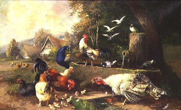 Drůbež pumpou od Julius Scheuerrer