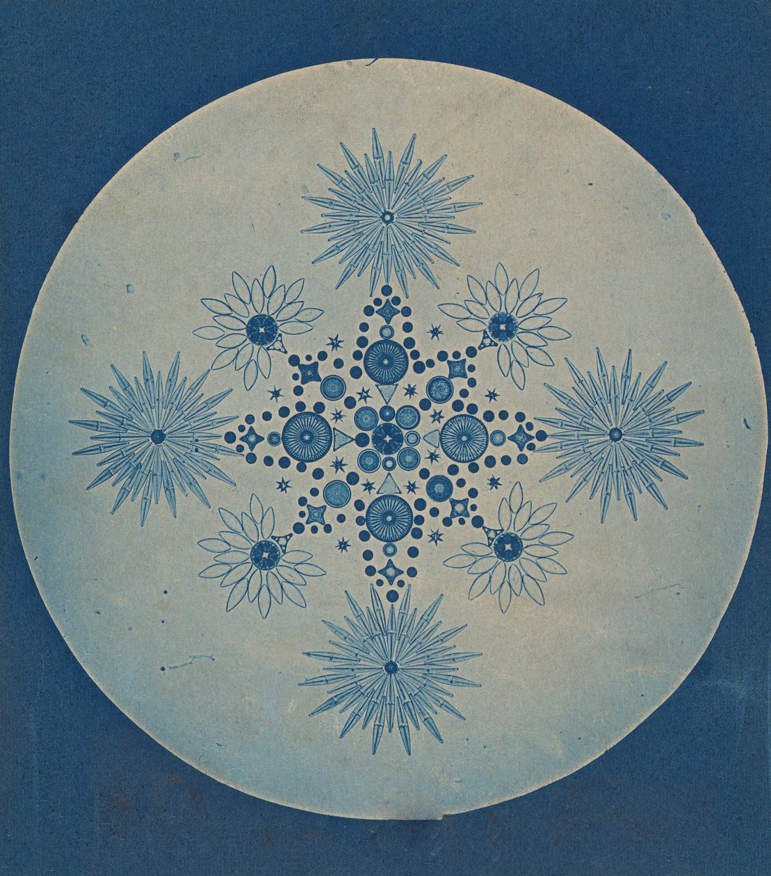 [Frustules of Diatoms], ca. 1870. od Julius Wiesner.