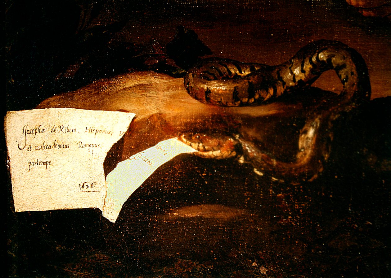Detail obrazu Opilý Silenus, 1626 (detail obrazu 434192) od Jusepe de Ribera