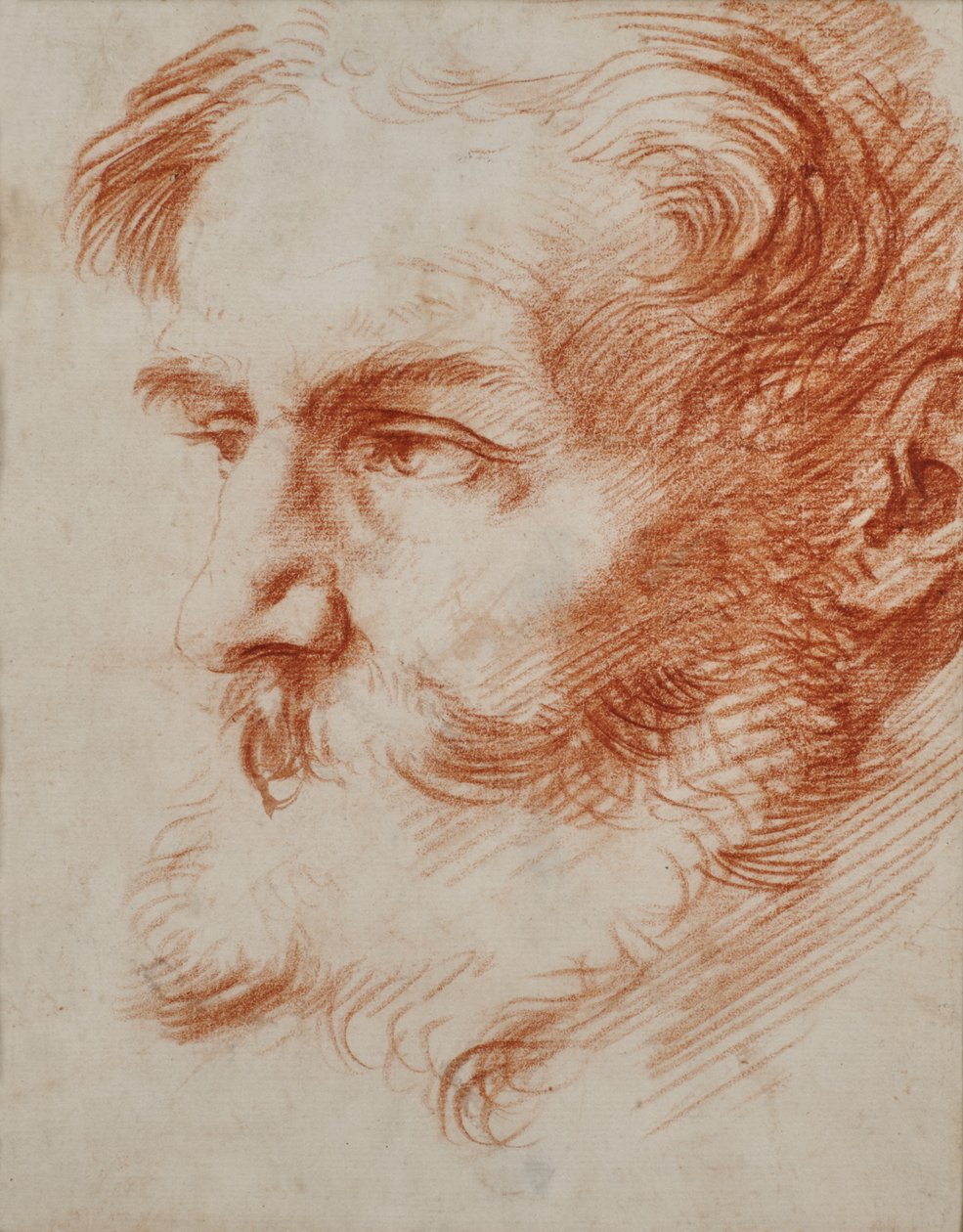 Hlava vousatého muže od Jusepe de Ribera