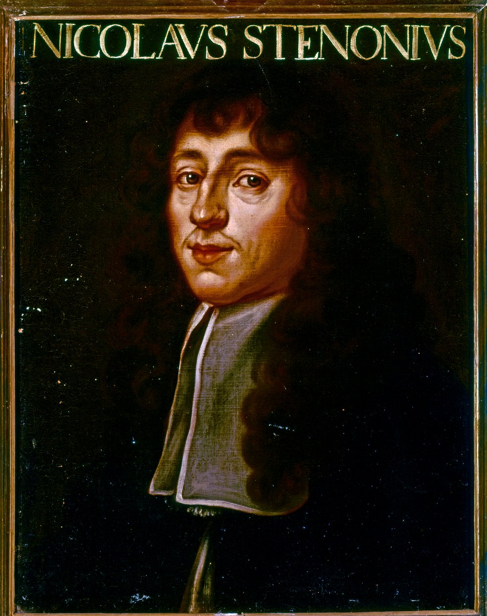 Portrét Nicolase Stena (olej) od Justus Sustermans