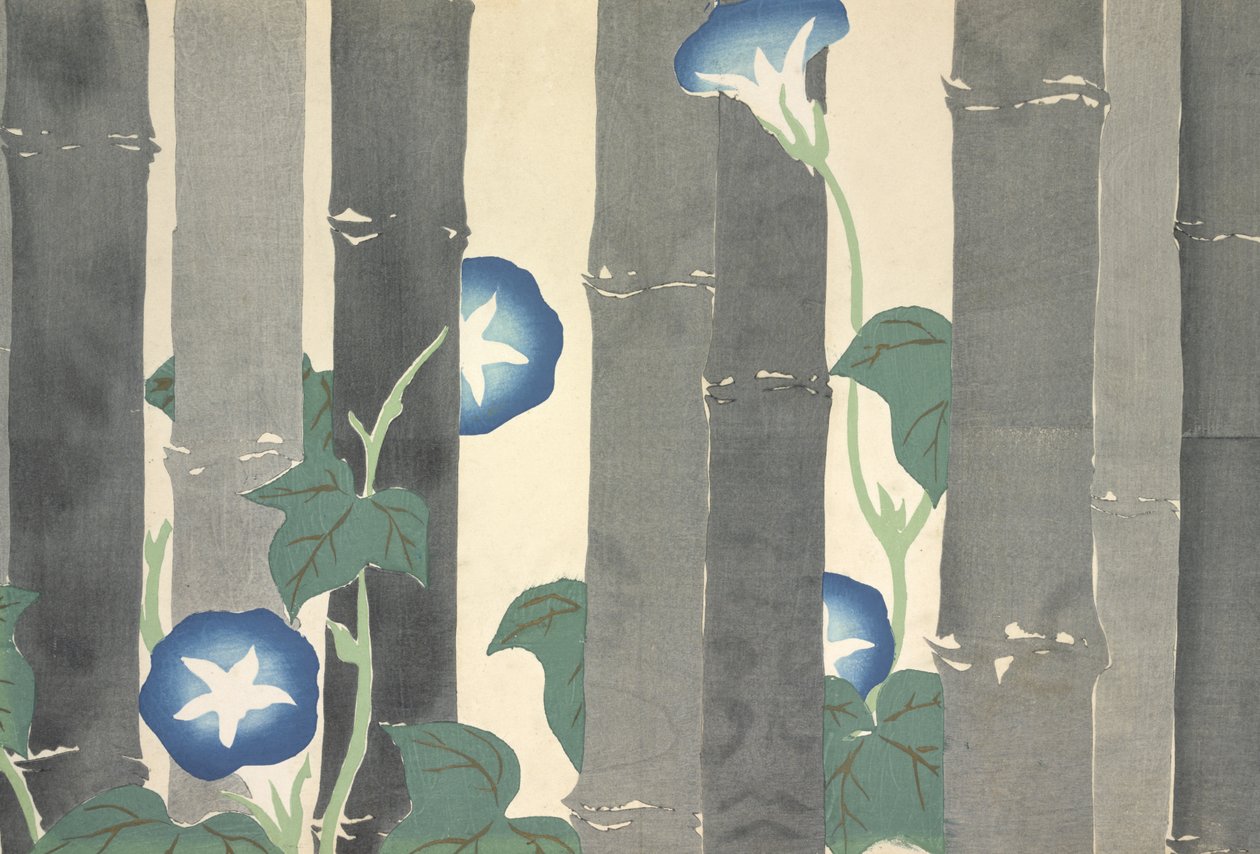 Asagao, from Momoyo-gusa od Kamisaka Sekka