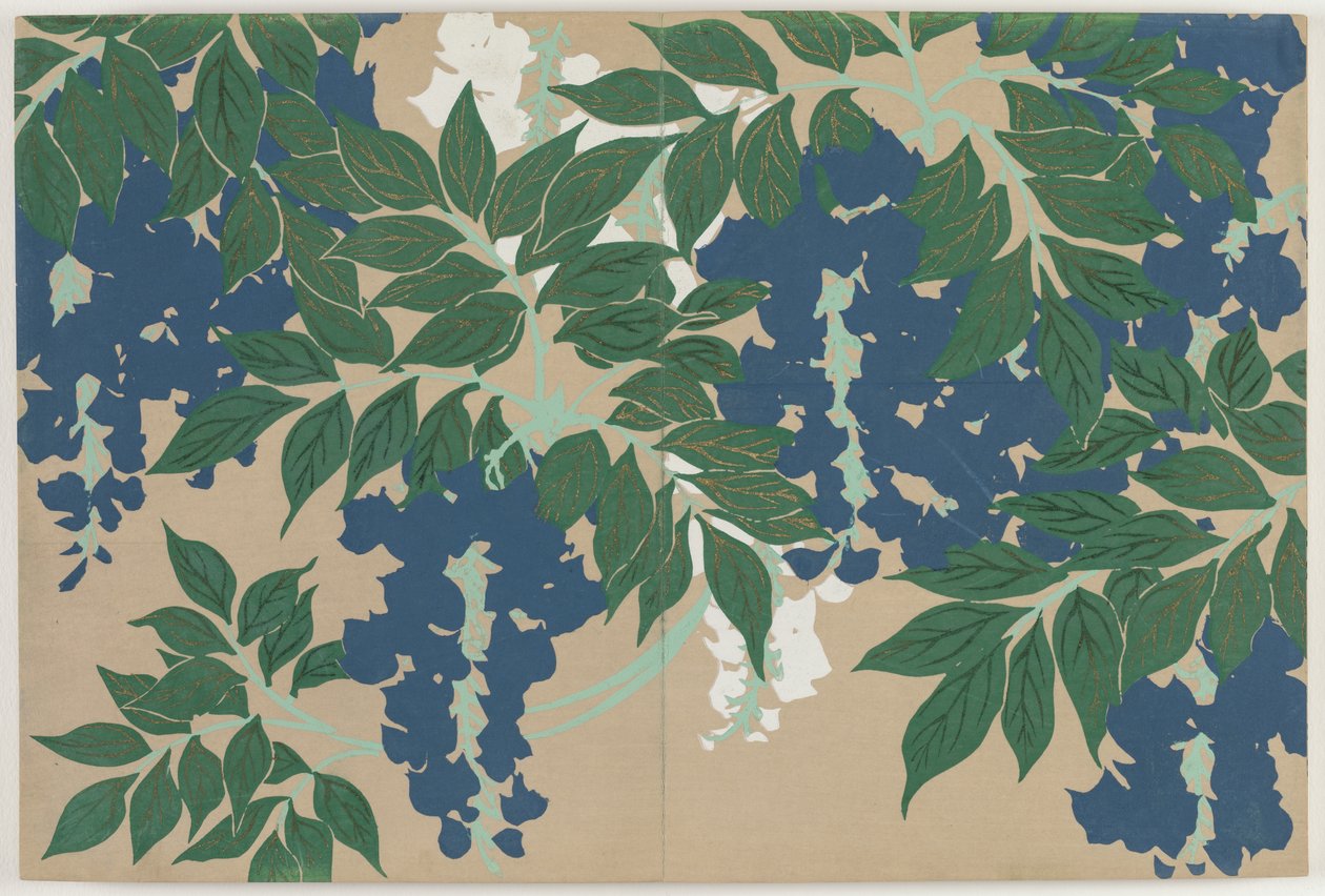 Květiny sta světů (Momoyogusa): Wisteria (Fuji) od Kamisaka Sekka