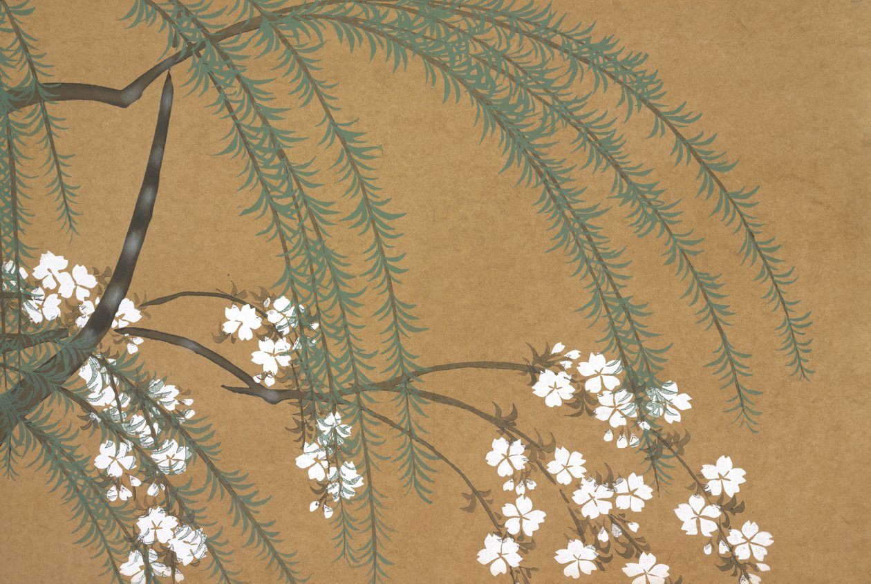 Yanagi Sakura, from Momoyo-gusa od Kamisaka Sekka